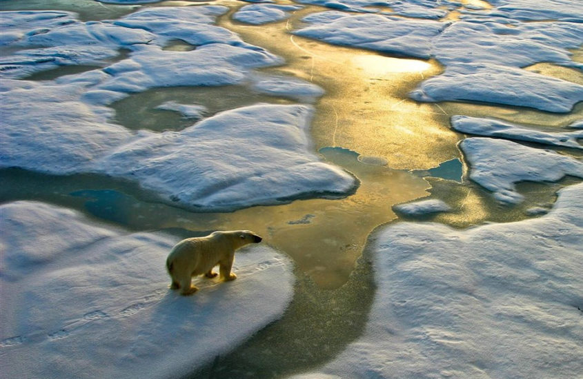 Protecting the Ocean is protecting the Climate